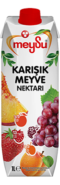 MEYSU KARIŞIK NEKTAR 1/1  12 ADET