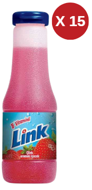 LİNK ÇİLEK 200 ML 15 ADET