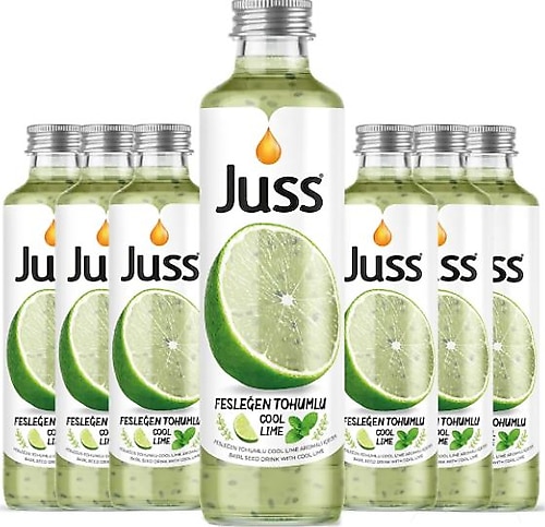 JUSS FESLEĞEN TOHUMLU COOL LİME CAM 250 ML*